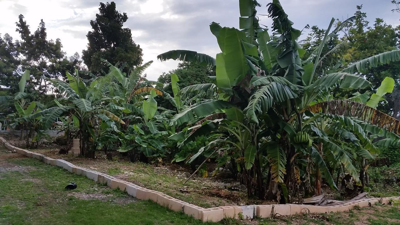 Bailey'S Bed And Breakfast Runaway Bay Εξωτερικό φωτογραφία